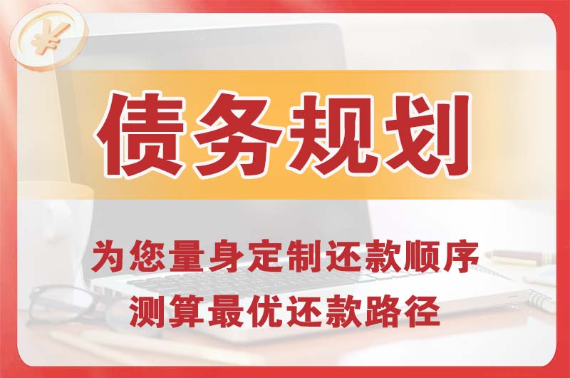 平远债务规划